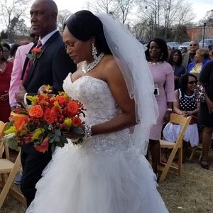 Wedding Dress & Veil